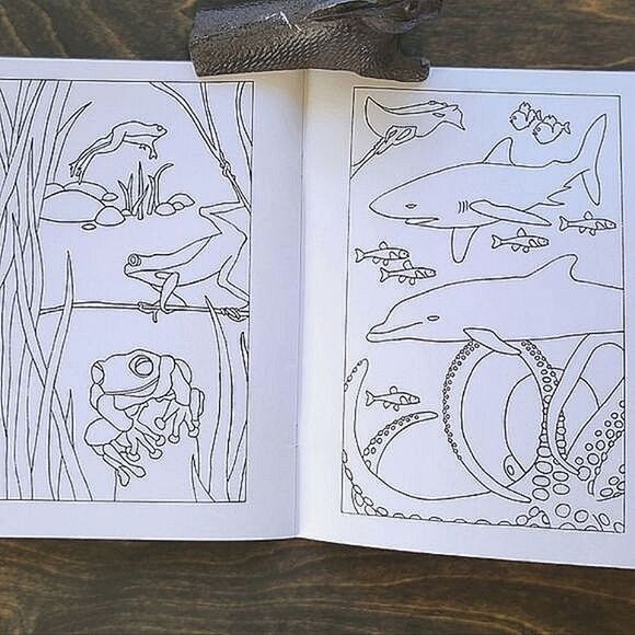 Deadstock '95 Magic Pens Animal Colouring Book - Picture 6 of 6